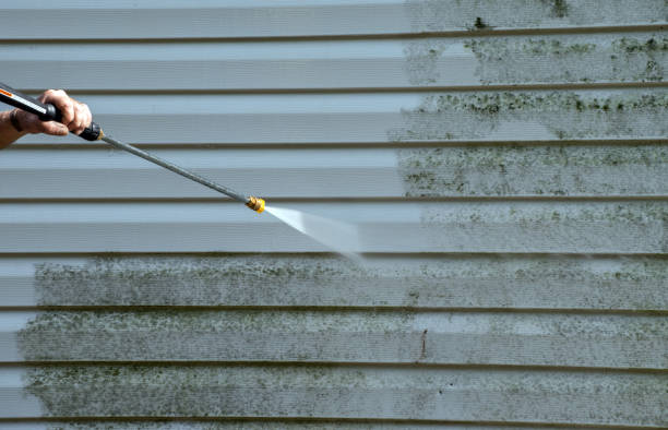 Best Exterior Home Cleaning  in Utica, NY